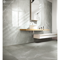 Timeless Amani Grey Polished Tile 