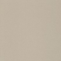 Touchstone Mist Polished Tile 