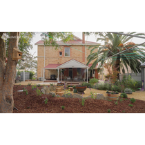 Travertine Almond Blend Tumbled 30mm Paver Commercial Grade 
