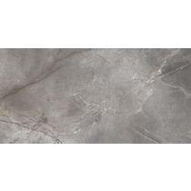 Eternal Taupe Silk Tile 